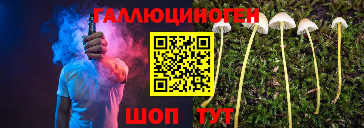 Альметьевск  Псилоцибиновые грибы Psilocybine cubensis  Галлюциногенные грибы прущие грибы  Вход с VPN 