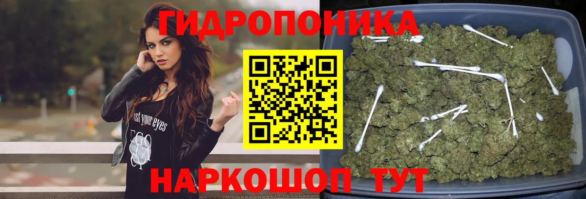 Конопля сатива Альметьевск